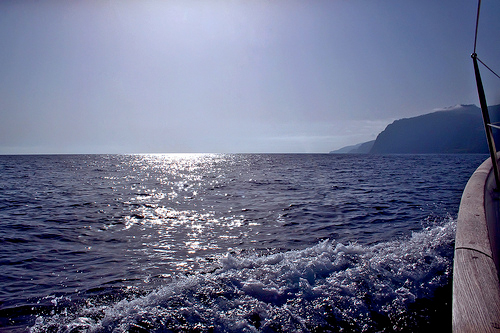 Boat Trip Funchal Bay