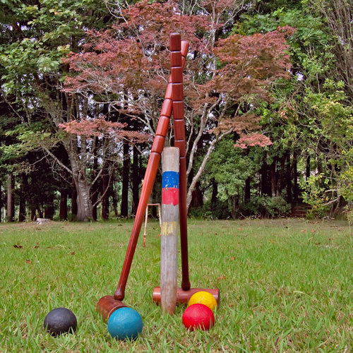Game of Croquet on the Lawn