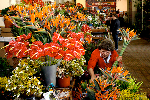 Funchal Farmers market