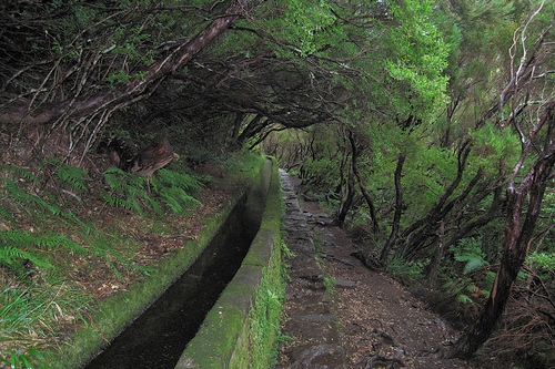 Levada at Rabaçal