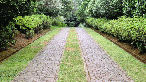 Entrance to Quinta da Junta in Santo da Serra